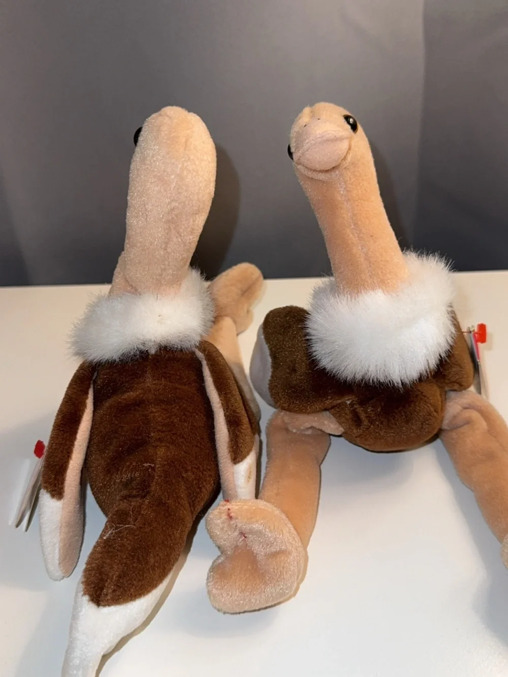 Ty Plush Ostrich Twins — Brown & Cream Beanie Pair